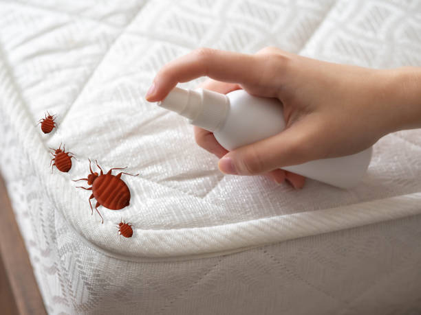 Emergency Pest Control in Brooklyn, OH